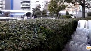 《生活中的玛丽高清bd》免费在线观看-恐怖